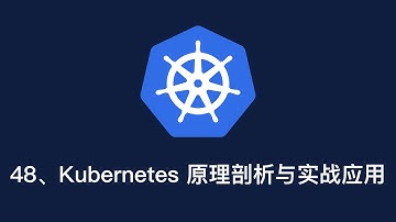 48、Kubernetes 原理剖析与实战应用 共30讲
