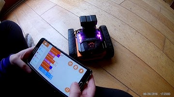 We built a Qdee robot, then gave it life by coding it