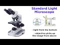 Mastering Light Microscopes: Key Functions and Components