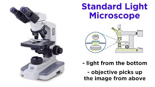 Arabiske Sarabo Krudt Skriv en rapport Light Microscopy: Function and Utility - YouTube