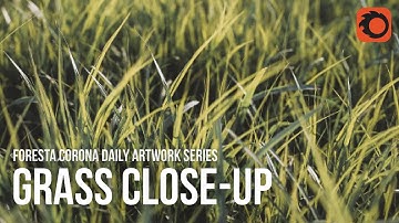 Corona Daily Artwork #1 - Grass Close-up - Corona Render Free Tutorial Lesson