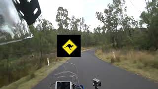 Dodging Wallabies And Camping By The River