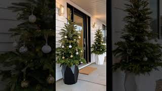 15 Dreamy Front Porch Christmas Trees To Try This Year