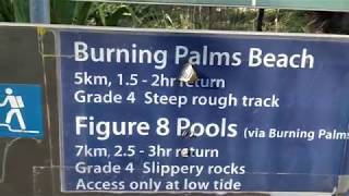 Garrawarra Farm to Burning Palm Beach and Figure 8 Pool Solo Hike