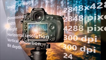 Agisoft Photoscan 1.4.2 64bit  Workflow  - 3D Scanning Project