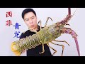 1090买一只非常罕见的西非青龙虾，用新做法，出锅后一盘不够吃【小文哥吃吃吃】