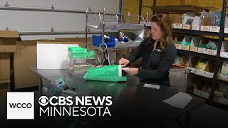 Temporary tariff relief could help Minnesota small businesses