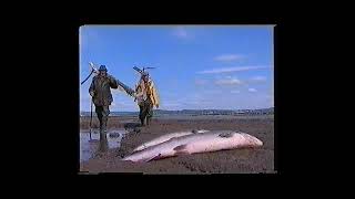 The Putcher Men. Putcher fishing on the river Severn, UK (from VHS copy) by Studio 12 Archive 1,400 views 2 years ago 25 minutes