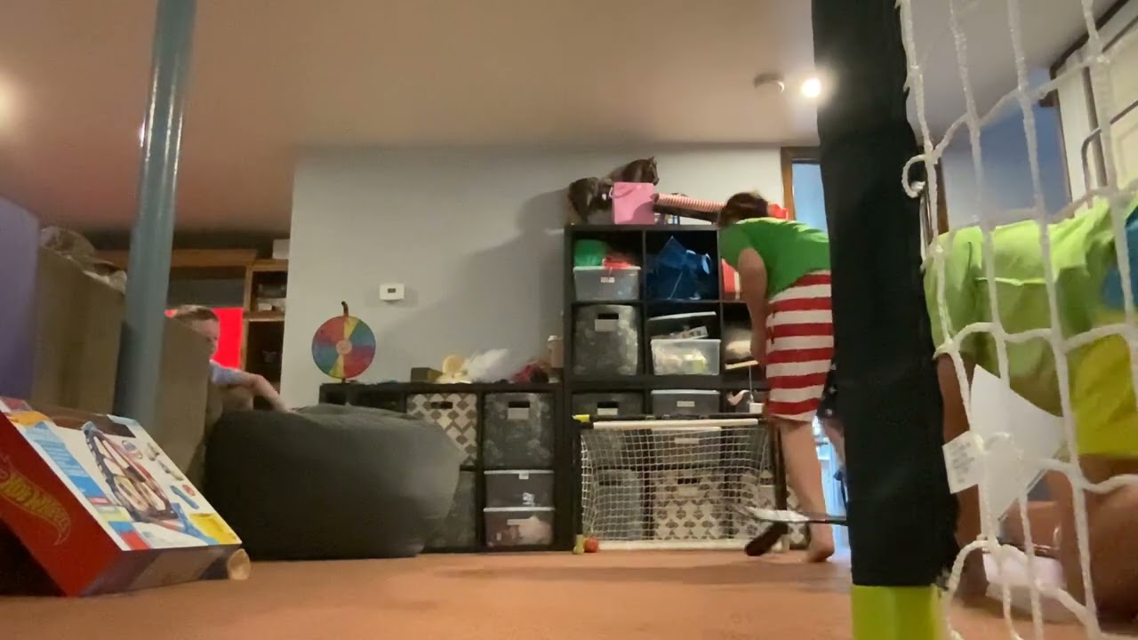 Knee hockey Nashville predators versus hurricanes