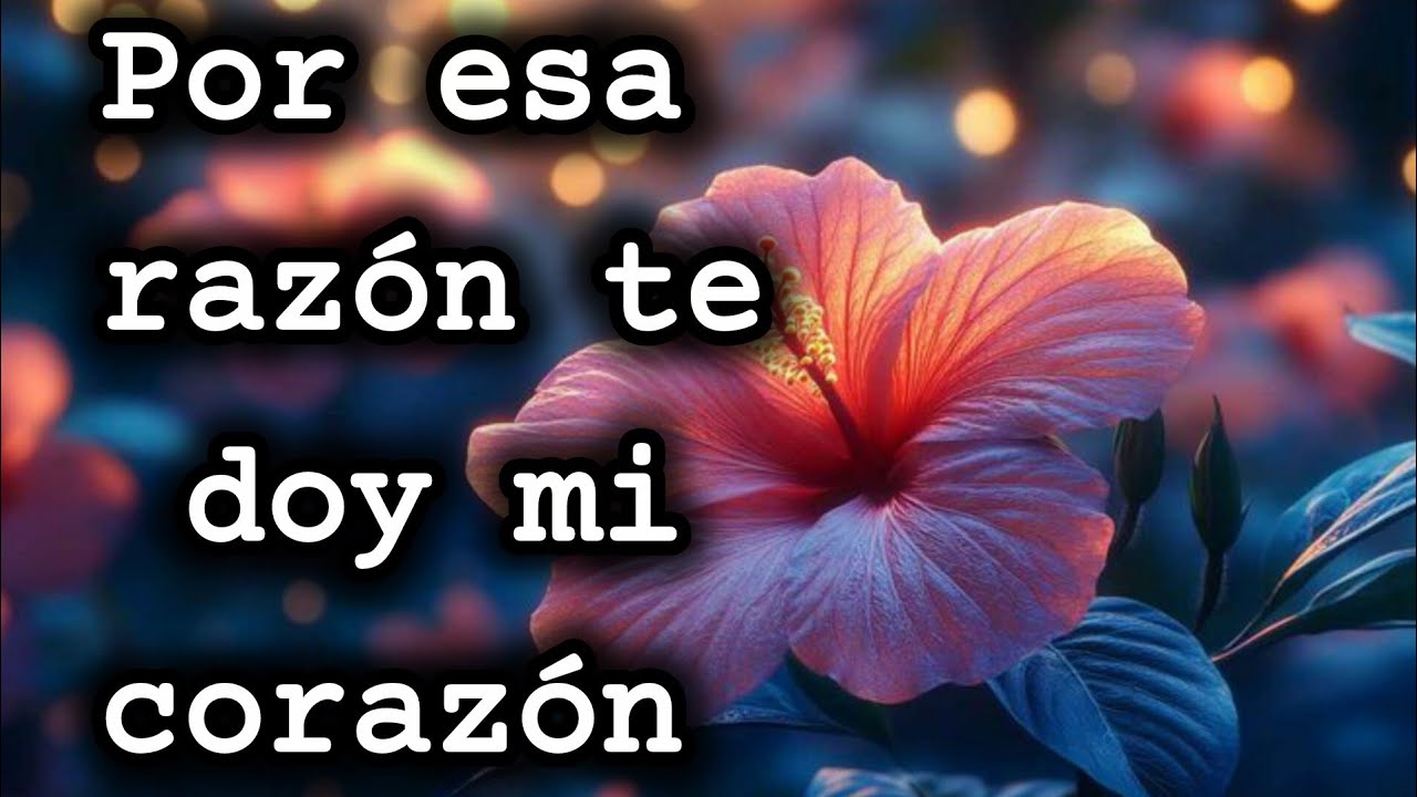 Por esa razón te doy mi corazón 