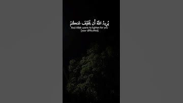 تلاوة هادئة من سورة النساء || القارئ محمد اللحيدان 💗