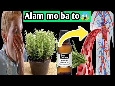 Video: Kapaki-pakinabang At Mahiwagang Katangian Ng Rosemary