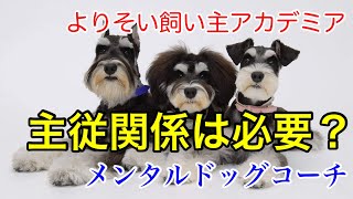 【犬 しつけ】愛犬との関係に主従関係、上下関係は必要ない