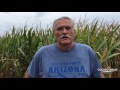 Corn Maze Created in Lockport to Remember Sept 11 Attack