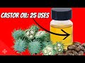 Castor Oil Applications and Benefits Quiz