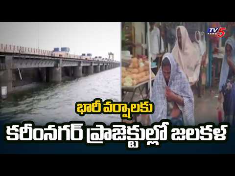 భారీ వర్షాలకు కరీంనగర్ ప్రాజెక్టుల్లో జలకళ | Karimnagar Rain Updates | TV5 News - TV5NEWS