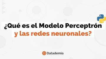 ¿Qué es el modelo perceptrón y las redes neuronales?