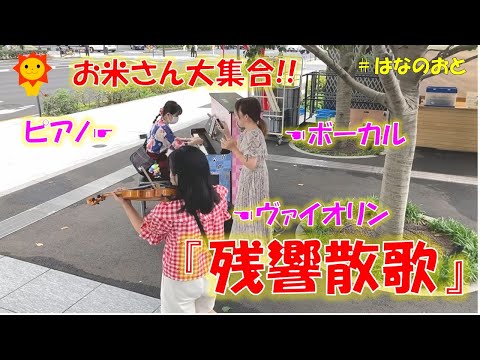 はなのおと🎹✨【ストリートピアノ】お米さん青春物語🍖✨初対面なのに『残響散歌』でセッション開始⁉️ハラミートピアノで弾いてみた🌻🎹✨