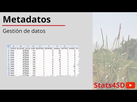 Video: ¿Qué elemento contiene metadatos?