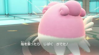 朝4時から始まるポケモンsv Youtube 朝4時から始まるポケモンsv Youtube