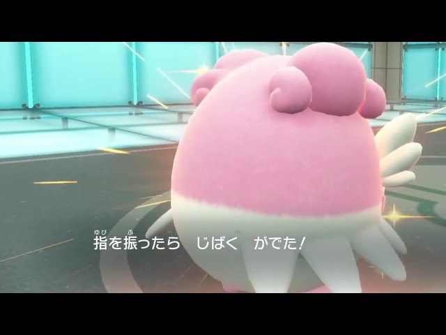 朝4時から始まるポケモンsv Youtube 朝4時から始まるポケモンsv Youtube