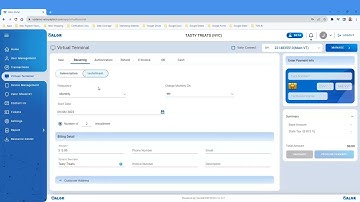 How to use Virtual Terminal/E invoice Valor