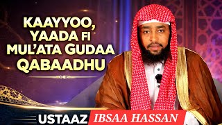 KAAYYOO, YAADA FI MUL'ATA GUDDAA QABAADHU USTAAZ IBSAA HASSAN April 1, 2026 KAAYYOO, YAADA FI MUL'ATA GUDDAA QABAADHU USTAAZ IBSAA HASSAN April 1, 2026