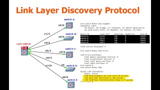 What is Link Layer Discovery Protocol (LLDP)? | How does LLDP work?  | How to configure LLDP?