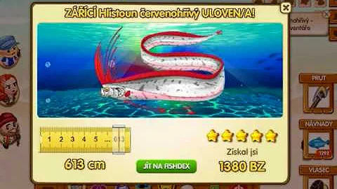 Jak se starat o malé rybky?