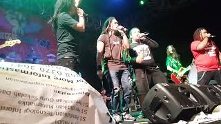 Download Lagu STEVEN JAM FEAT GODEL JAH FEELING \u0026 DELL UYEE || BEBAS MERDEKA MP3