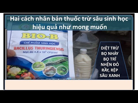 Video 2 cách nhân bản thuốc trừ sâu sinh học diệt trừ bọ... - youtube