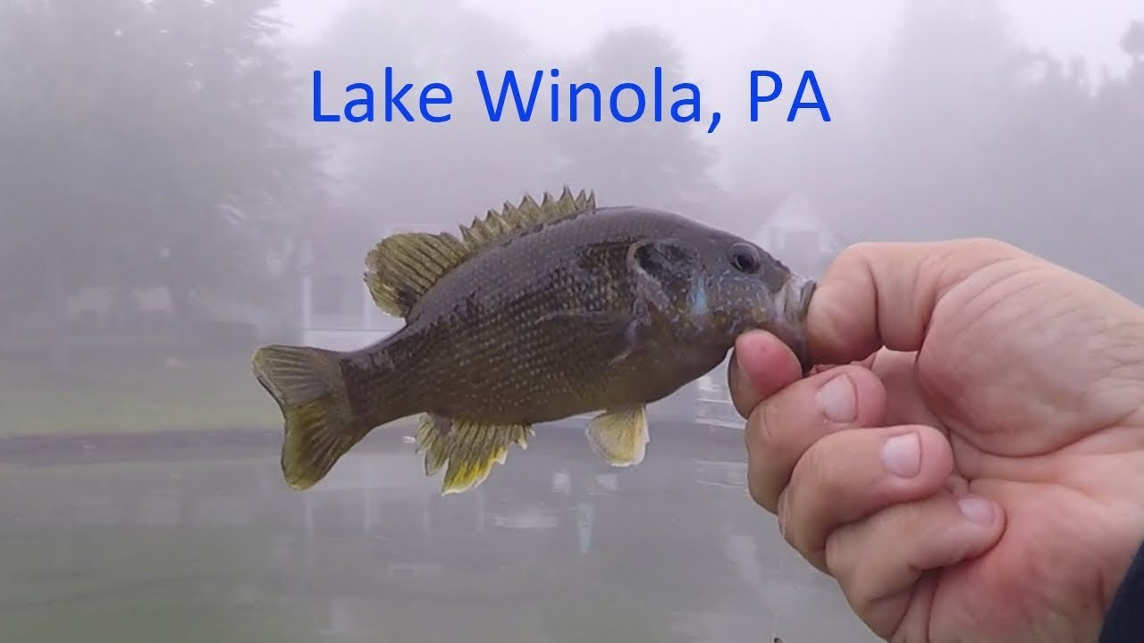 PA Bass Caster Lake Winola Fishing Tournament September 2018 YouTube