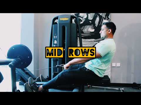 Back Day Techno Gym.