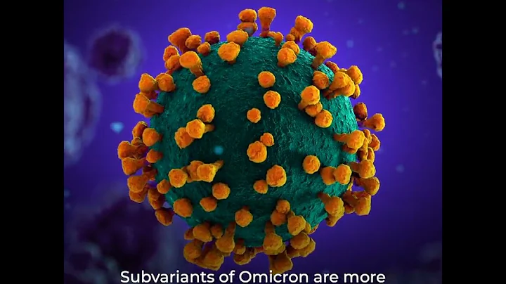 The fight against COVID-19