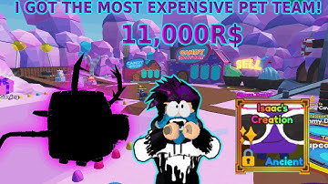 MAKING THE MOST EXPENSIVE PET INTO SHINY *11,000R$ TEAM* - Mining Simulator 2 ROBLOX