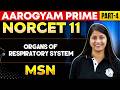 NORCET 11 Preparation Organs of Respiratory System MSN Part 4 | Aarogyam Prime #norcet11