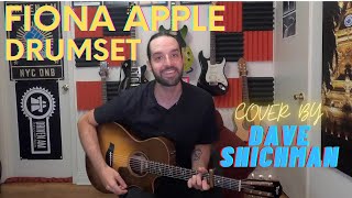 Fiona Apple - Drumset (Cover by Dave Shichman)