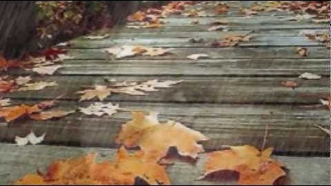 Peabo Bryson - Can You Stop The Rain