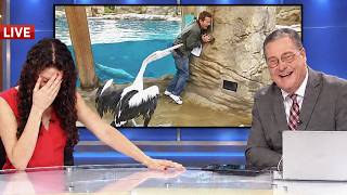 Live Animal News Moments That Became Unintentionally Hilarious