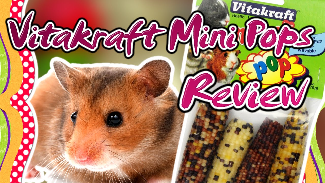 Vitakraft Mini Pops Review YouTube