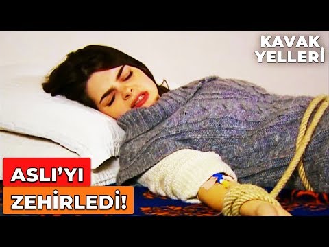 Semih Hoca, Aslı'yı EVE KAPATTI! | Kavak Yelleri 104. Bölüm