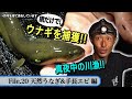 真夜中に天然うなぎ＆手長えびを捕獲！　 天然食材ハンター谷田圭太の野人塾　File20《天然うなぎ＆手長えび編》