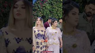 Kurdi Dance #dhok #wedding #kurd #soran #başur #reels #shorts #shortvideo #short #repost #remix