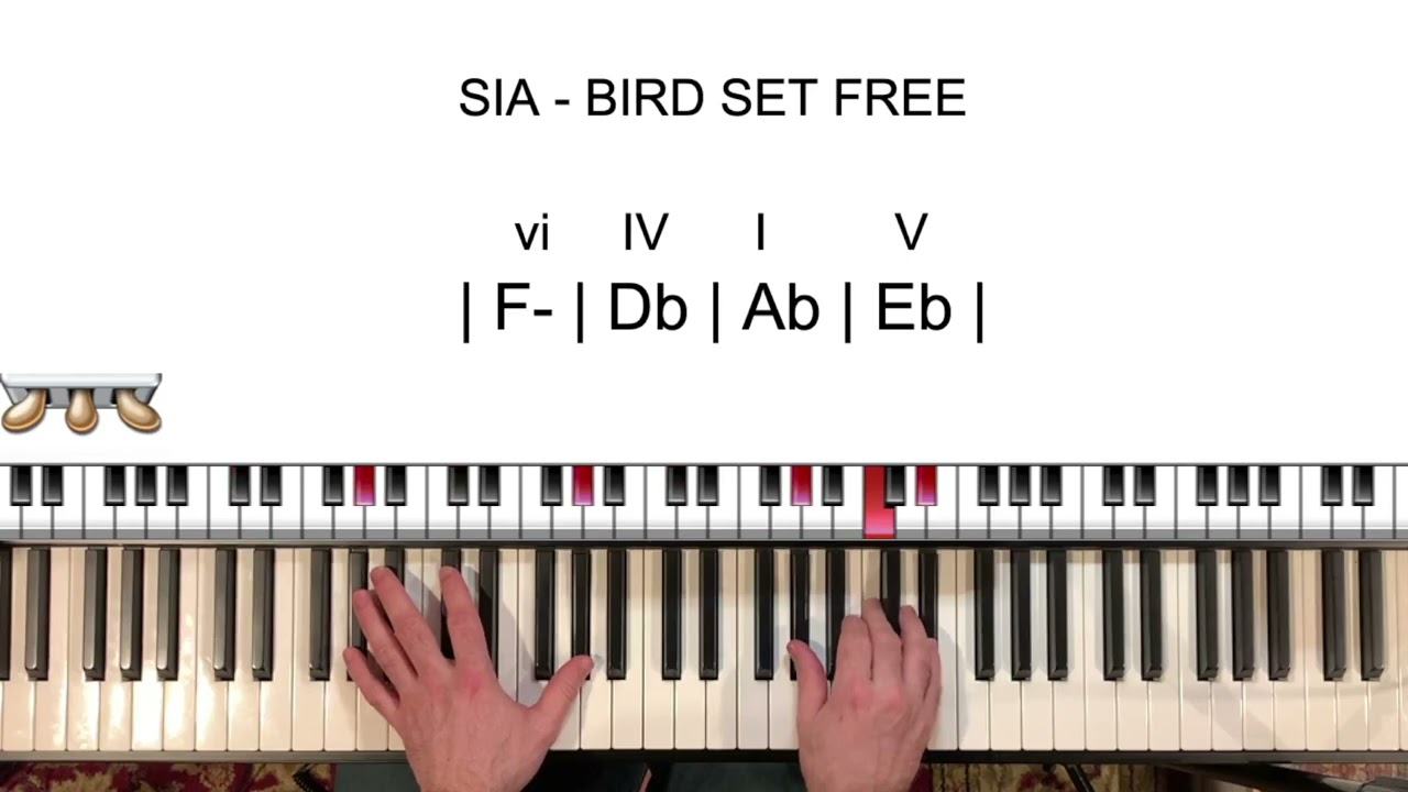 SIA - Bird Set Free: 20 minute Piano Lesson