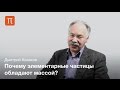 Дмитрий Казаков - Бозон Хиггса