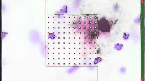 Stereologer Volume Fraction