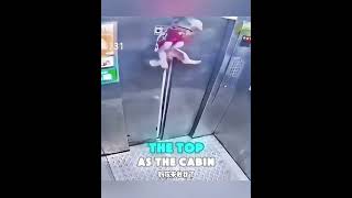 Wait for it... #YouTubeShorts #Trending #CaughtOnCamera #Dog #FunnyAnimals#ViralVideo #CrazyMoments