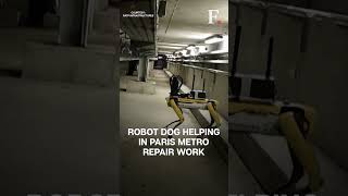 Meet Perceval - The Robot Dog screenshot 4