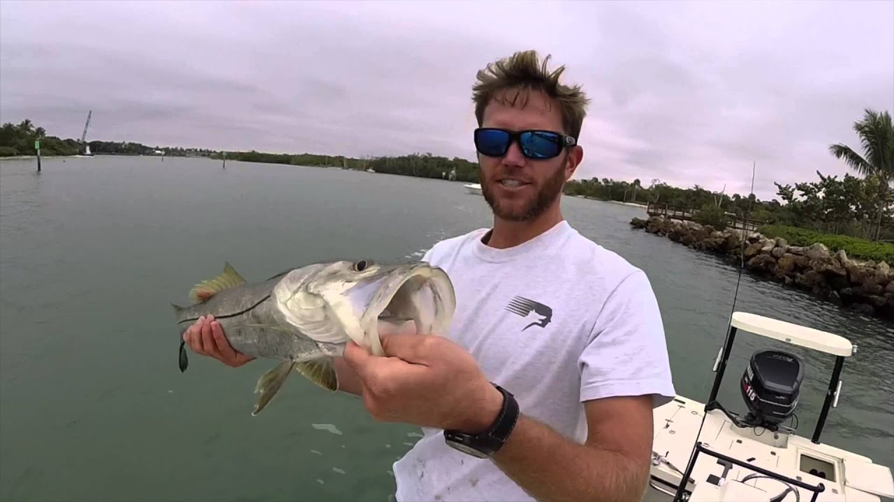 Snook fishing in Naples - YouTube