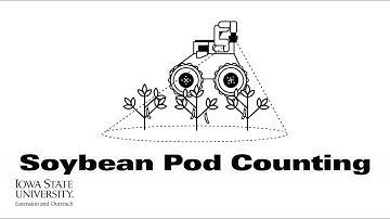 Soynomics: Soybean Pod Counting | (When Scientists Team with Engineers)